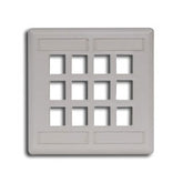 Hubbell IFP212 IFP Double Gang Wall Plate - 12 Ports